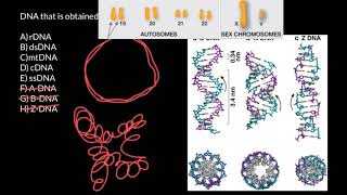 DNA Explained in Hindi  By Ishan [upl. by Rollie]