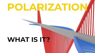 What is Polarization [upl. by Eedyak646]