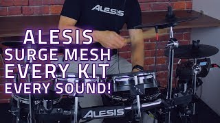 Alesis Surge All Mesh Electric Drum Kit  Kit amp Sound Demo [upl. by Lemmor15]