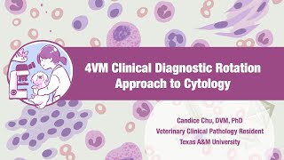 【Veterinary Cytology】Approach to Cytology [upl. by Steele]