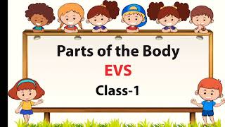 Parts Of The Body EVS Class 1 My Body [upl. by Aratas]