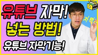 유튜브 자막넣기 어떻게 하는지 알려줄게요 유튜브 자막기능 유튜브랩 허피디 [upl. by Richella143]