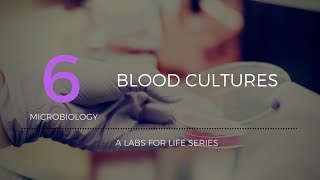 Blood cultures [upl. by Okoyk384]