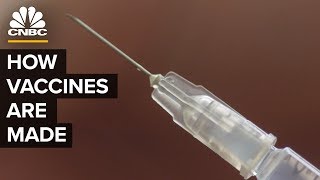 The History Of Vaccines And Why Sales Are Rising [upl. by Hough287]