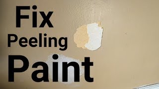 Stopping paint from peeling [upl. by Inoliel395]