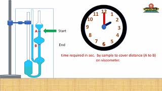 Viscosity determination with animation [upl. by Warram]