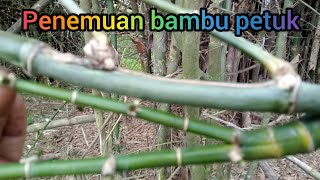 Bambu Petuk Asli [upl. by Joela]