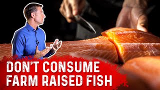 Farm Raised Fish OR Wild Caught Fish Which Is Best To Consume – Dr Berg [upl. by Kiona]