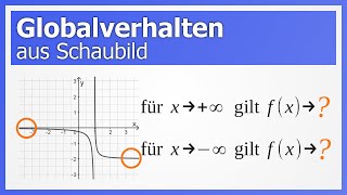 Globalverhalten aka Globalverlauf aus Schaubild bestimmen  How to Mathe [upl. by Betsey]