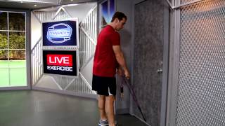 Standing Back Extension with Resistance Bands [upl. by Odelia]