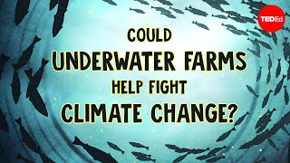 Underwater farms vs climate change  Ayana Elizabeth Johnson and Megan Davis [upl. by Dent]