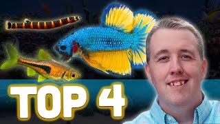 Top 4 Betta Tank Mates [upl. by Lydon]