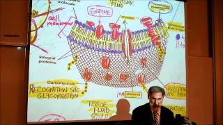 BIOLOGY CYTOLOGY PART 1 by Professor Fink [upl. by Assilym]