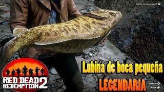 Lubina de boca pequeña legendaria  Guia pesca RED DEAD REDEMPTION 2 [upl. by Esimehc216]