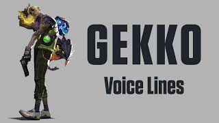 Gekko Voicelines ValorantEN [upl. by Newo]