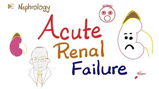 Acute Renal Failure Azotemia [upl. by Alket]