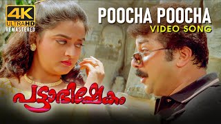 Poocha Poocha Video Song  Pattabhishekam 4K  Jayaram  Mohini  BernyIgnatius  M G Sreekumar [upl. by Christianity]