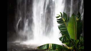 Materuni Waterfall near Moshi Tanzania  Drone Video [upl. by Nileek]