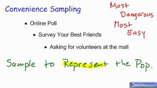 Convenience Sampling [upl. by Yttig]
