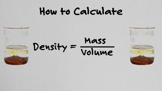 How To Calculate Density  With Examples [upl. by Onaimad]