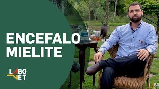 Sintomas tratamento e prevenção da Encefalomielite equina  Com o Médico Veterinário Renan Oliveira [upl. by Adriel]