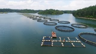 Aquaculture and the environment [upl. by Mcclenon]