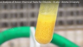 Chemical Tests for Chloride  MeitY OLabs [upl. by Enoval397]