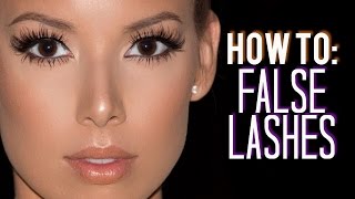 How I Customize Trim amp Apply False Lashes  LustreLux [upl. by Paulie]