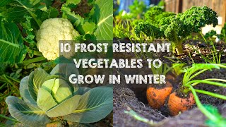 10 Frost Resistant Vegetables to Grow in Winter [upl. by Flory]