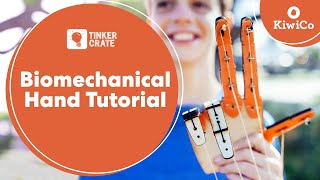 Build a Biomechanical Hand  Tinker Crate Project Instructions  KiwiCo [upl. by Ecraep511]