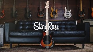 Ernie Ball Music Man StingRay 4 Bass Joe Dart Demos [upl. by Ahseela225]