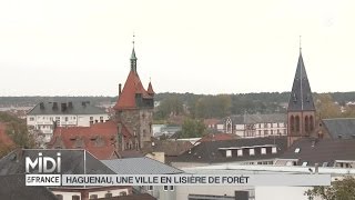 SUIVEZ LE GUIDE  Haguenau une ville en lisière de forêt [upl. by Ruben290]