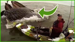 Fishing fails and bloopers compilation 2021 [upl. by Nels]