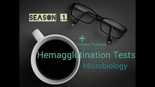 Hemagglutination tests Microbiology  Immunology  Antigen Antibody Reactions [upl. by Eanel501]