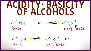 Acidity and Basicity of Alcohols [upl. by Euqinom]