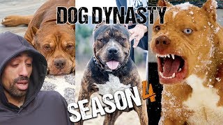 Dog Dynasty Entire Season 4 [upl. by Iolenta]