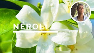 Neroli  The Oil of Intimacy [upl. by Kevon]