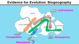 The Evolution of Populations Natural Selection Genetic Drift and Gene Flow [upl. by Azenav]