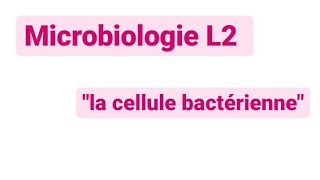 Microbiologie L2  la cellule bactérienne [upl. by Benni]