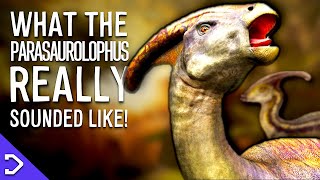 What Did Parasaurolophus REALLY Sound Like [upl. by Ymorej]