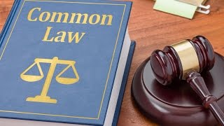 What is Common Law [upl. by Andromeda]