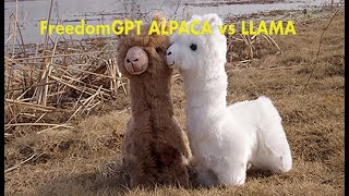 FreedomGPT ALPACA vs LLAMA [upl. by Nee]