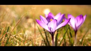 Meditation Music Violin Sahaja Yoga [upl. by Alleras]