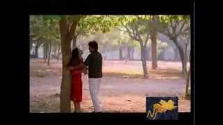 Ravin poonthen thedum poonkatte  Naduvazhikal Superhit Song HD [upl. by Selohcin]