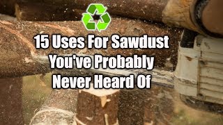 15 Ways To Reuse Sawdust [upl. by Busey]