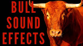 BULL SOUND EFFECTS  How Do Bull Sounds [upl. by Brand275]