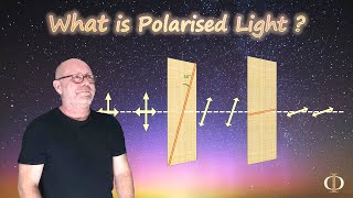 What is Polarised Light Polarisation Part 1  Waves  Physics [upl. by Ylremik]