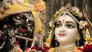 Tulasi Arati  ISKCON Arati Kirtan [upl. by Asirem858]