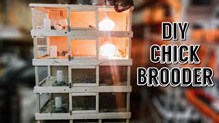 DIY Chick Brooder  Multiple Level Chick Brooder  Chick Brooder Design [upl. by Nylrehc585]