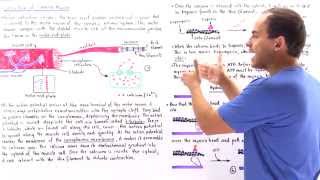 Modic Changes and Low Back Pain [upl. by Anoyek203]